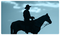 DNSEMP-C-360-BL Cowboy Blue